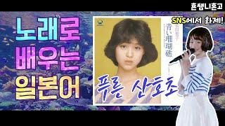 푸른 산호초 가사공부‼️ [초급일본어 #184]