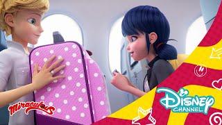 Las aventuras de Ladybug en Nueva York: Avance exclusivo | Disney Channel Oficial