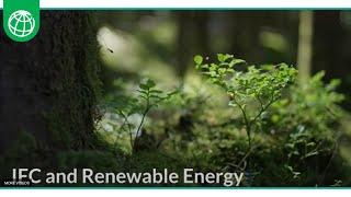 IFC’s Work in Renewable Energy