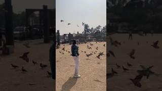 Chori Chori Chupke Chupke || Krrish || juhu beach  #shortsfeed #shorts #ytshorts #krrish #juhu