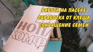 пчеловодство, работа на пасеке обработка от клеща и сокращение семей