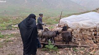 Nomadic man: building a bathroom in the heart of nature and the challenges of spring rain