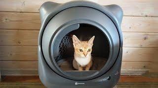 САМЫЙ МИЛЫЙ АВТОМАТИЧЕСКИЙ ЛОТОК ДЛЯ КОШЕК AMICURA