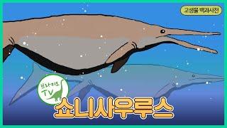 #16 쇼니사우루스를 소개합니다. l 쇼니사우루스에 대한 황당한 가설? | 공룡백과사전 Shonisaurus