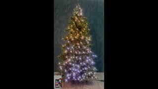 Albero Natale verde Poly Joffre Twinkly pine