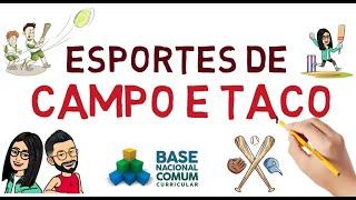 Esporte de Campo e Taco