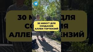 30 минут для создания АЛЛЕИ ГОРТЕНЗИЙ