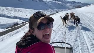 Winter dogsledding at Alaskan Husky Adventures