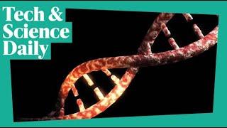 New twist in DNA’s first discovery ...Tech & Science Daily podcast