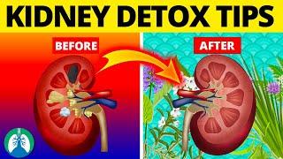 7 Ways to Detox and Cleanse Your Kidneys Naturally