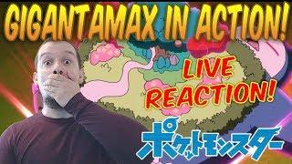 A WILD G-MAX SNORLAX APPEARS!! Crasher *LIVE* Reacts: Pocket Monsters (Pokémon) 2019 | Episode 5!