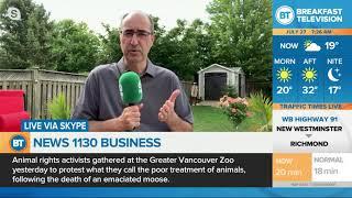 NEWS 1130 Business update