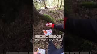 Orienteering - Long Beech in Dorset
