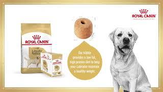 Royal Canin - Pets at Home