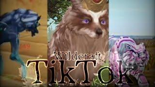 Wildcraft - tiktok compilation #1