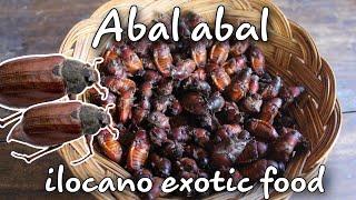 catch and cook  ABAL-ABAL exotic food of ilocano's people in Northern Luzon