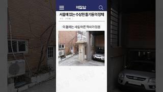 서울에 있는 수상한 돌기둥의 정체 ㄷㄷ