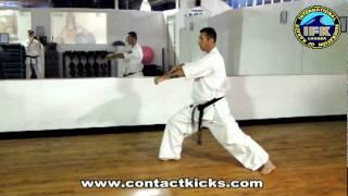 Kyokushin advance kata - Sushiho