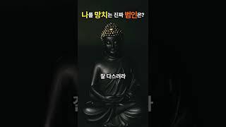 왜 나는 항상 나를 배신할까? [부처님의 답]