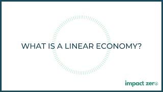 What is a linear economy?!