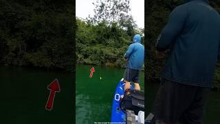 entered the cave to catch fish #shorts