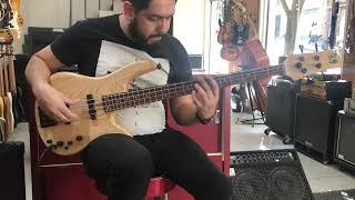 Fodera Monarch Standart GTR 4 strings ( EMG pick ups)