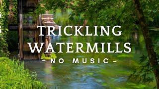 10 Hours - The Sound of a Peaceful Watermill to Help You Relax