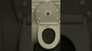 Air India Flight's Toilet Trouble!