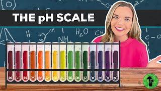 Acids Bases & the pH Scale