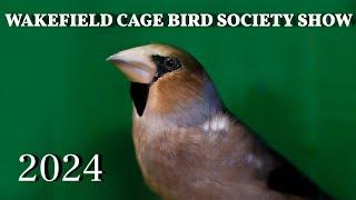 WAKEFIELD CAGE BIRD SOCIETY SHOW 2024