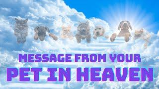 Message from Your Pet in Heaven