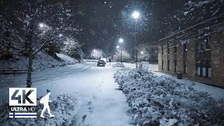 Super Early First Snowfall ️ Night Walk in Finland - Slow TV 4K