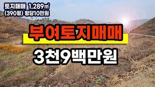 충남 부여 토지매매 3천9백만원 ️ 소액투자 도로접함 건축가능 (매물번호06)