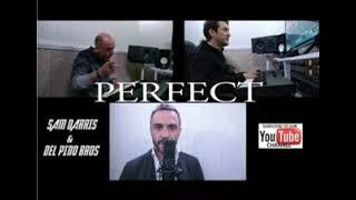 Sam Darris & Del Pino Bros - Perfect (Ed Sheeran)