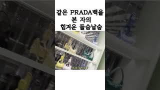 같은 PRADA백을 본 자의 힘겨운 들숨날숨,,,