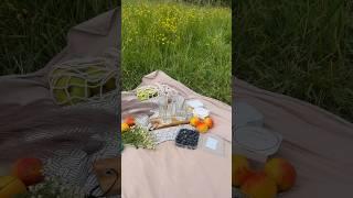 А вы уже успели выбраться на летний пикник? 