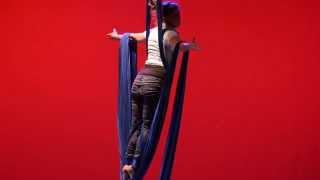 Aerial Fabric/Silks - It Resides Within by Heidi Lajos