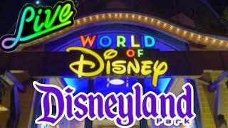 Newest Disneyland Merch Search! (Anaheim, CA)
