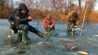 ЭТОТ ЗАЛИВ КИШИТ КРУПНЫМ КАРАСЕМ.Зимняя рыбалка на карася