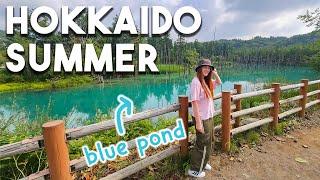 Summer Road Trip Through Hokkaido