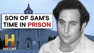 Prison Chronicles: The Dangerous Truth About the Son of Sam (Season 1)