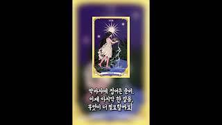 합격을 위한 마지막 한 걸음, 지금 필요한 건? | 타로 리딩 – The Star 카드 해석