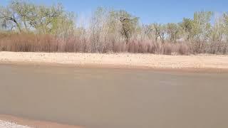 New braid on the Río by Willow Creek Open Space (Spring 2021)