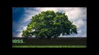 A Tree by Romelyn  Aldaba