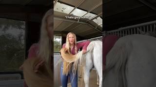 I hate grey horses #horse #equestrian #equestrianlife #greyhorse #horsegirl #equestrianvibes