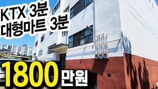 시내권 천만원대 빌라, 월세까지! 강변 산책로에 어떻게 이런가격이..