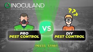 Professional pest control Vs DIY (do-it-yourself) pest control