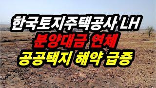 한국토지주택공사 LH 분양대금 연체 공공택지 해약 급증