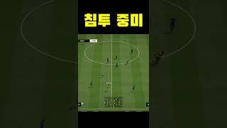 중미도 침투 해줘야 하는 이유