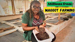 She Started a Maggot Farm in Nigeria